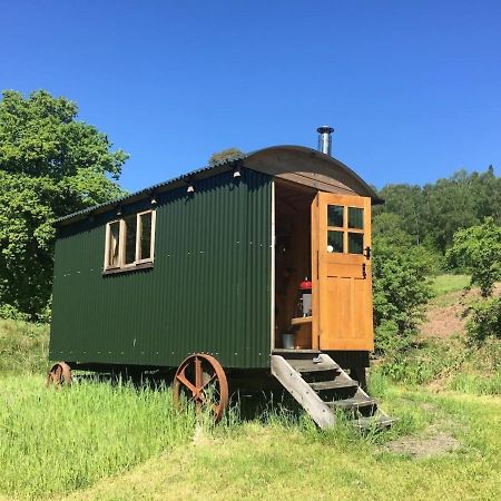 הוילה קאסל דאגלס Cosy Woodland Off Grid Shepherds Hut - Rowan מראה חיצוני תמונה