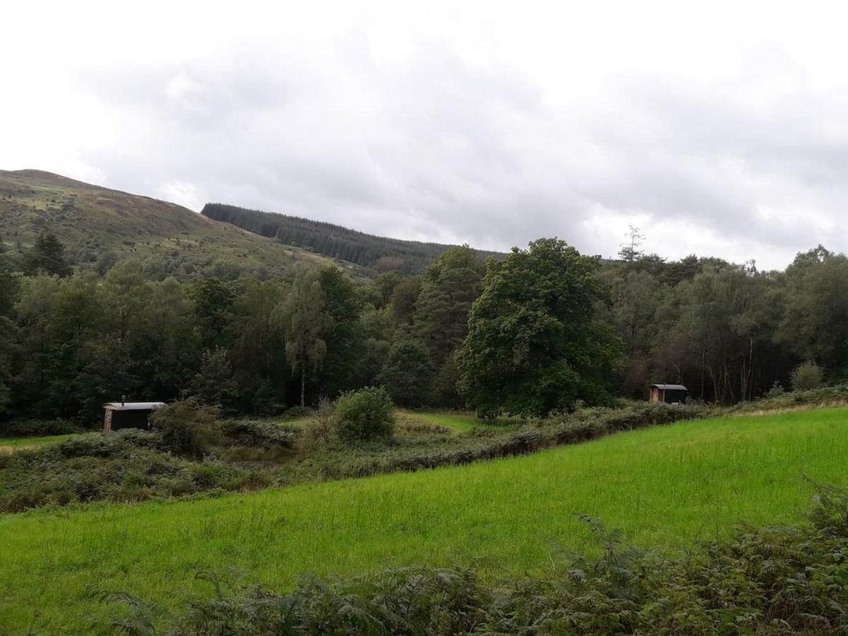 הוילה קאסל דאגלס Cosy Woodland Off Grid Shepherds Hut - Rowan מראה חיצוני תמונה