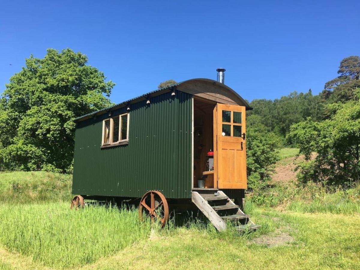 הוילה קאסל דאגלס Cosy Woodland Off Grid Shepherds Hut - Rowan מראה חיצוני תמונה