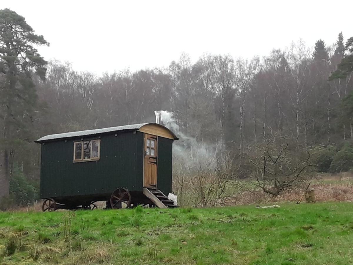 הוילה קאסל דאגלס Cosy Woodland Off Grid Shepherds Hut - Rowan מראה חיצוני תמונה