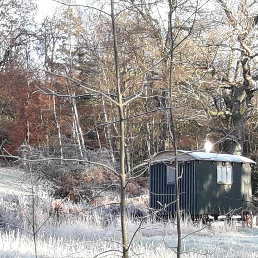 הוילה קאסל דאגלס Cosy Woodland Off Grid Shepherds Hut - Rowan מראה חיצוני תמונה