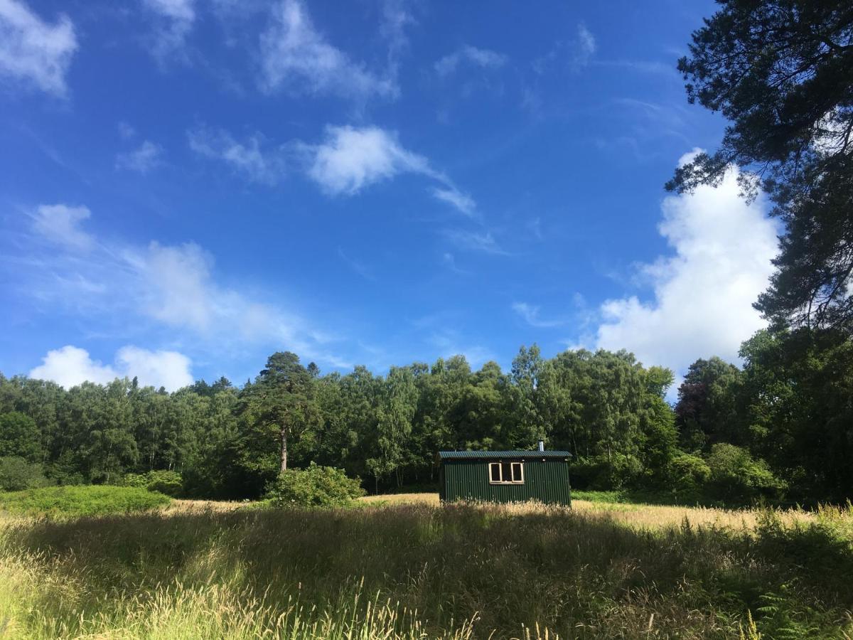 הוילה קאסל דאגלס Cosy Woodland Off Grid Shepherds Hut - Rowan מראה חיצוני תמונה